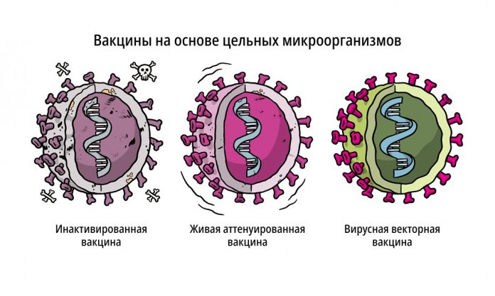 voz-rekomendovala-ne-smeshivat-raznye-tipy-vaktsin-ot-koronavirusa