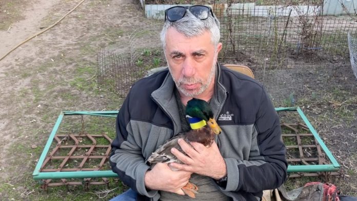vrag-budet-vylechen-komarovskij-pokazal-etnicheskoe-biologicheskoe-oruzhie-ukraintsev-video
