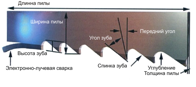 Как правильно точить ленточные пилы