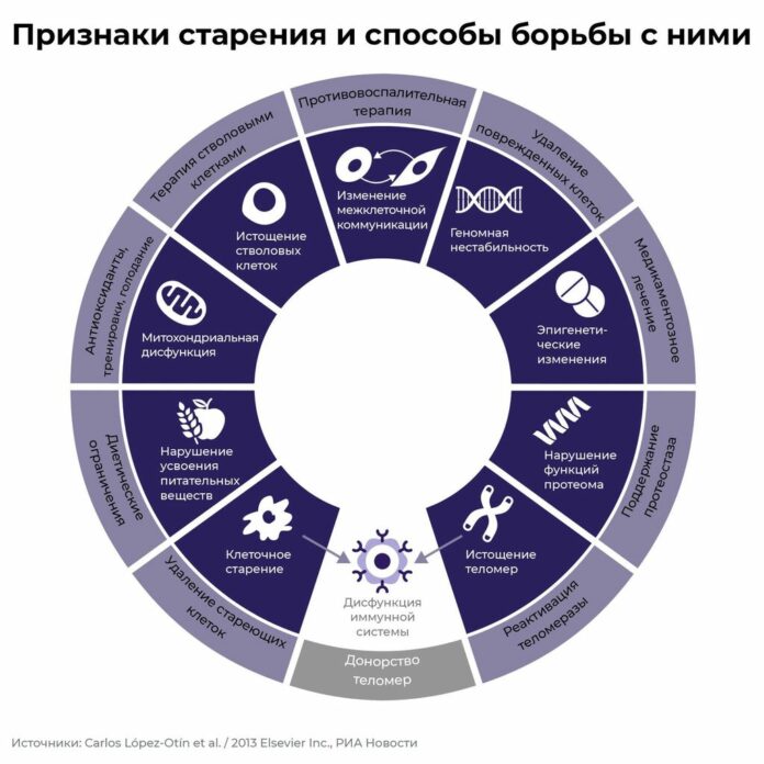 vaktsina-molodosti-uchenye-otkryli-novyj-mehanizm-prodleniya-zhizni