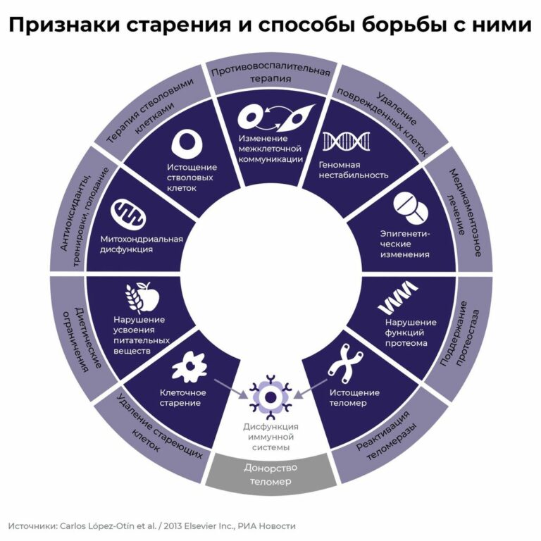 Вакцина молодости: ученые открыли новый механизм продления жизни