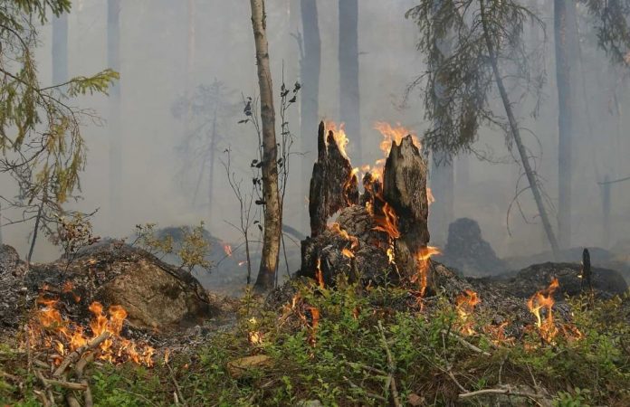 silnyj-pozhar-u-ierusalima-sgorela-pozharnaya-mashina